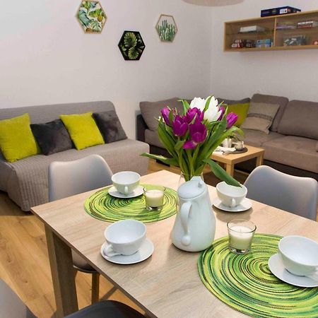 Apartament Grapa Zywiec Bagian luar foto